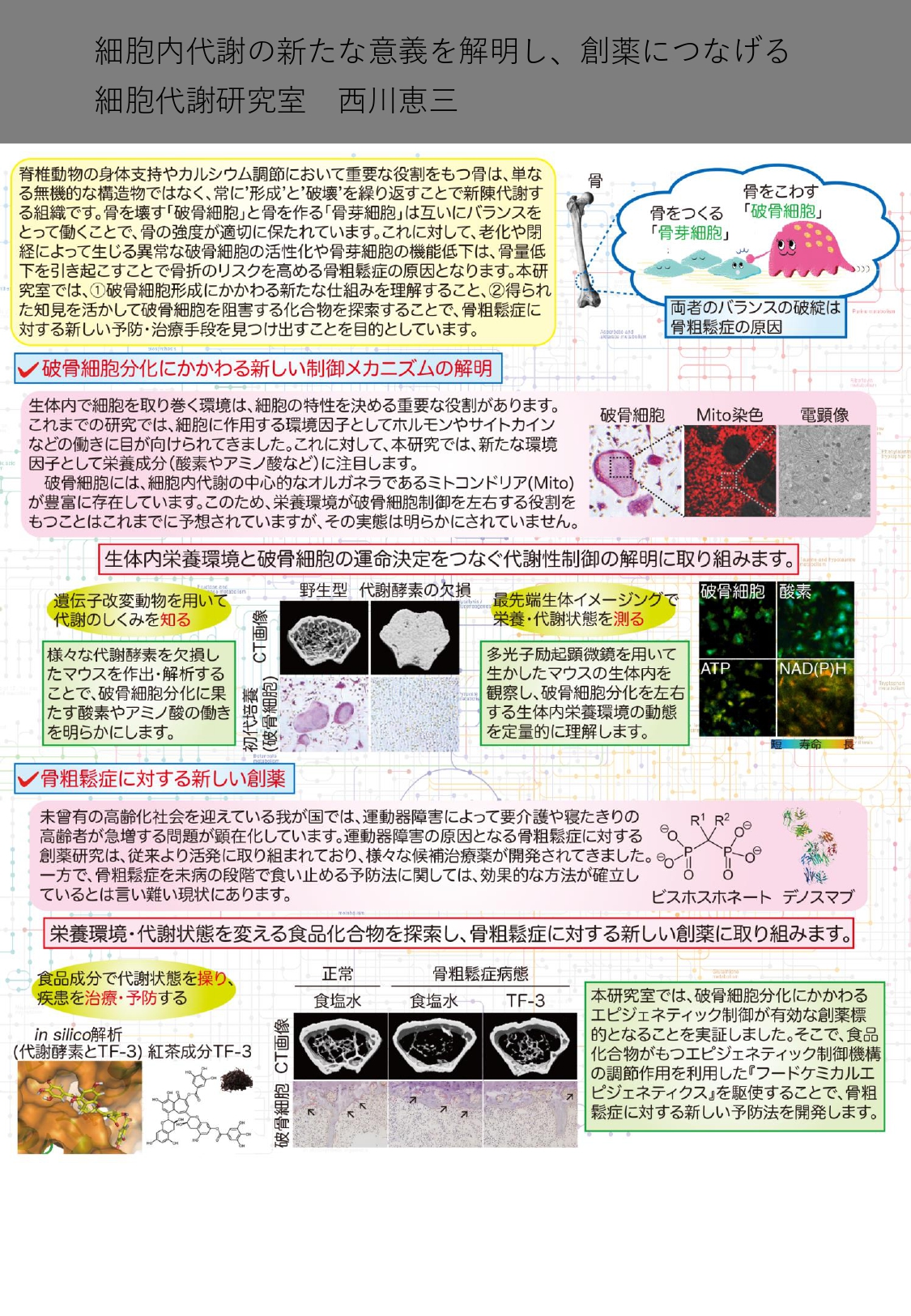 Neurosciences Laboratory of Cell Biology and Metabolic Biochemistry (109873)